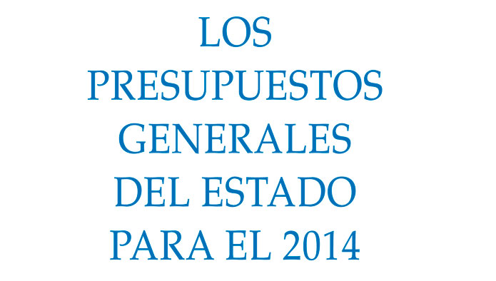 El IEE analiza los Presupuestos Generales del Estado de 2014