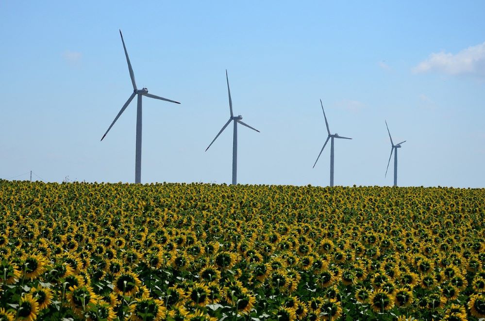 FERMA pide más apoyo al (rea)seguro en la transición energética de las empresas

