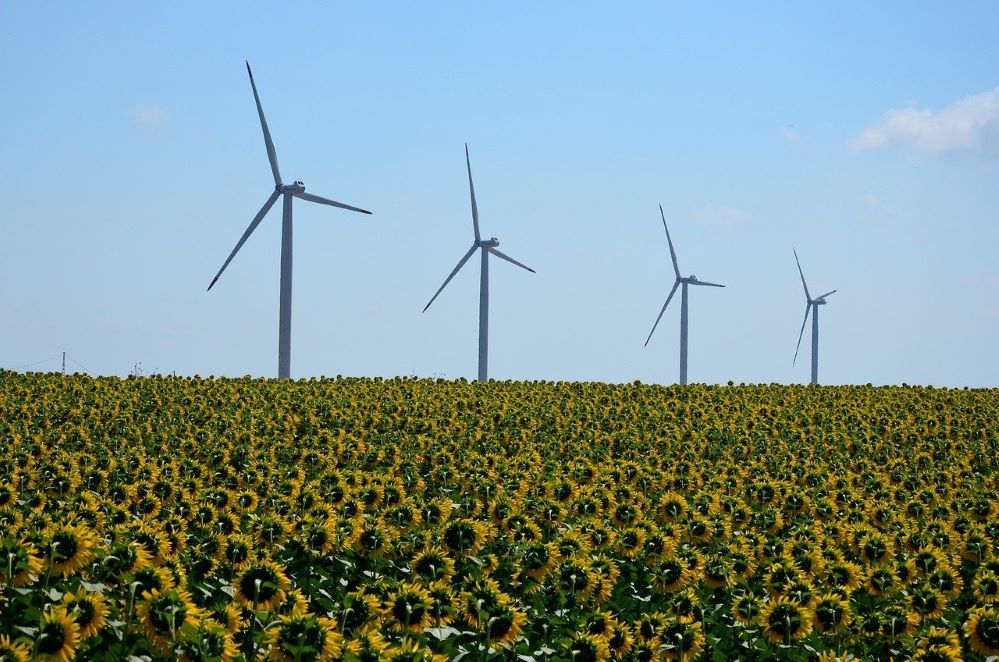 FERMA pide más apoyo al (rea)seguro en la transición energética de las empresas

