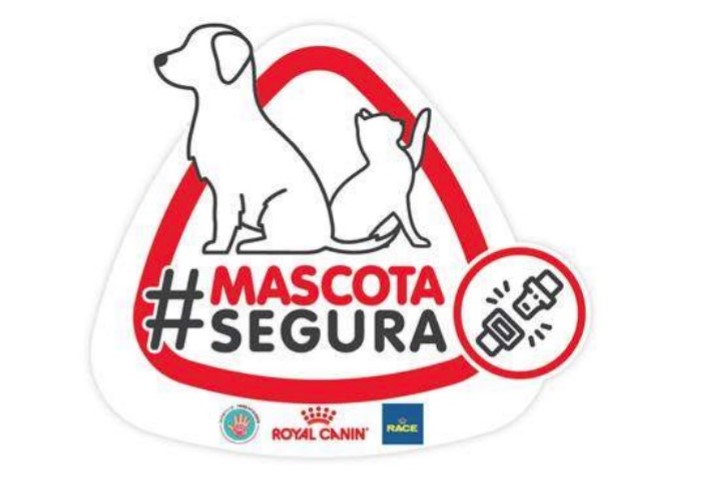 RACE te enseña a viajar más seguro con tus mascotas

