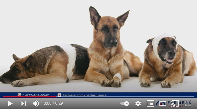 Las mascotas se sienten más seguras en este spot de Farmers Insurance 

