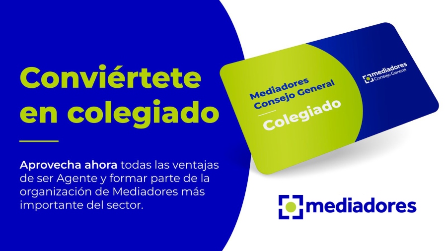 Los mediadores reclaman mayor presencia de agentes en los Colegios

