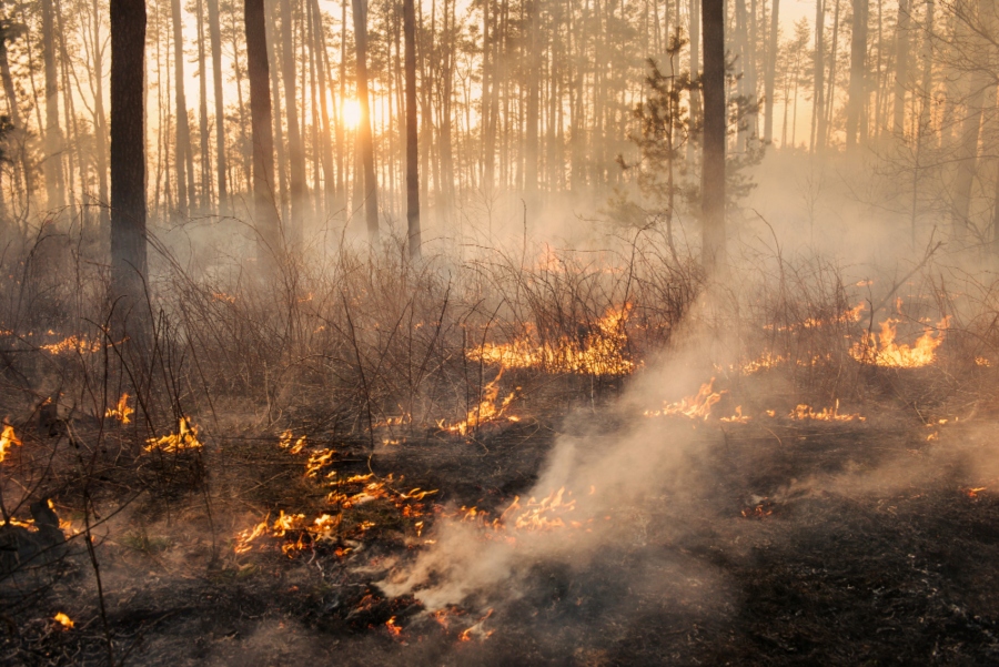 Incendios, apagón y DANA ¿catástrofes evitables por el Estado?